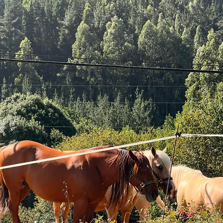 Mirador De Barcia 2* Ribeira De Piquin