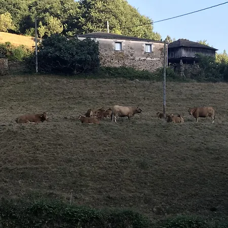 Hotell Mirador De Barcia Ribeira De Piquin