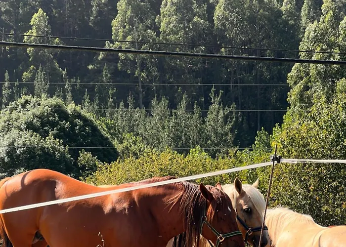 Mirador De Barcia 2* Ribeira De Piquin