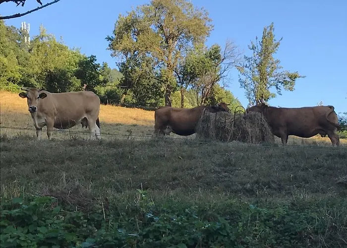 Hotel Mirador De Barcia